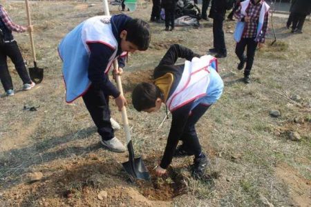 غرس ۲۰۰ اصله نهال توسط پادیاران جمعیت مبارزه با استعمال دخانیات در پارک پردیسان