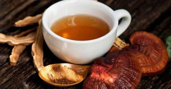 گانودرما | قهوه قهوه گانودرما برای ترک اعتیاد