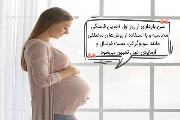 نحوه محاسبه سن جنین و سن بارداری