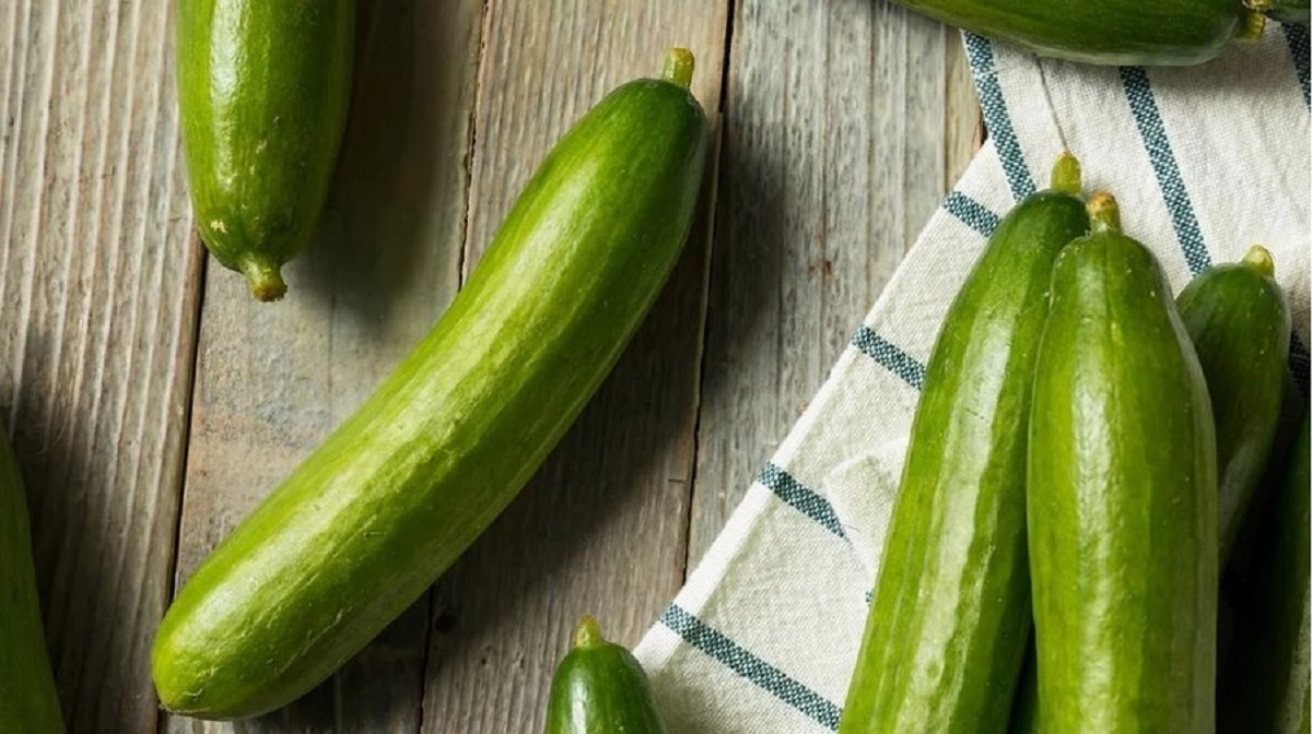 میوه این میوه نفخ شکم را نابود میکند و برای تنظیم فشار خون مفید است