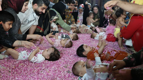 کاشان آیین ملی گلغلتان در کاشان برگزار شد